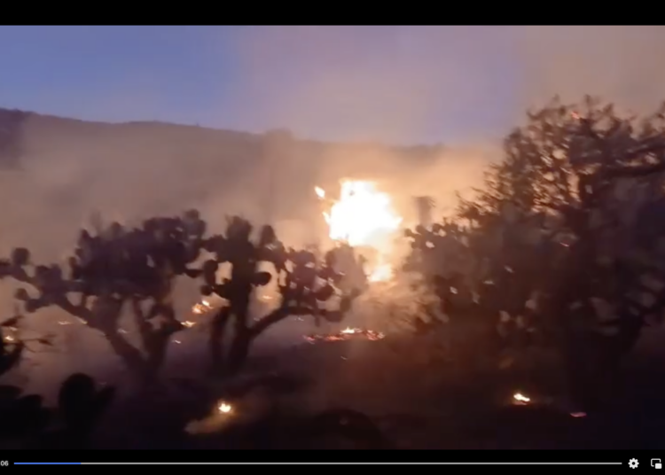 Ráfagas de viento expanden el incendio de la zona boscosa en Tepechitlán